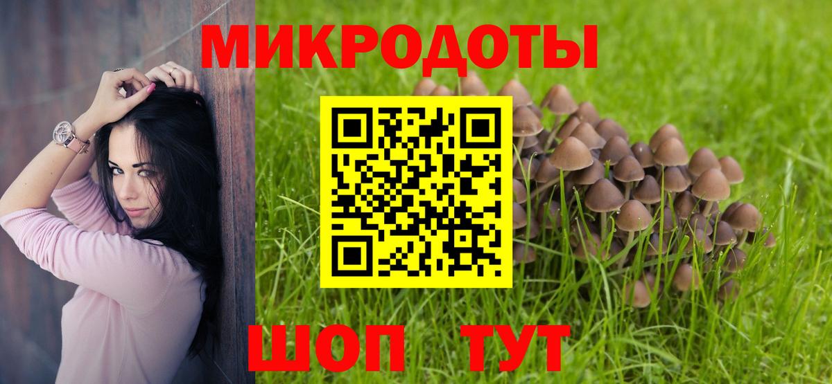 Галлюциногенные грибы Psilocybe Корсаков